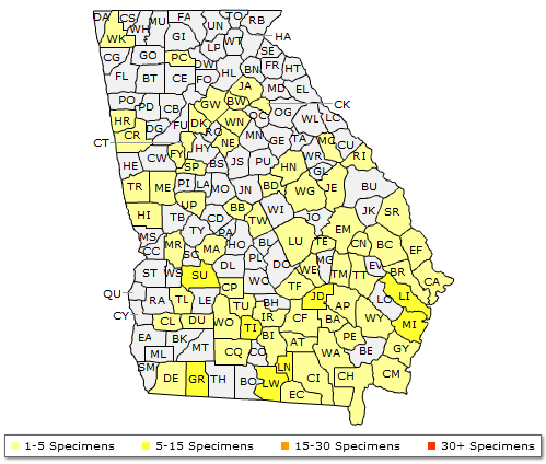 The range of Magnolia virginiana